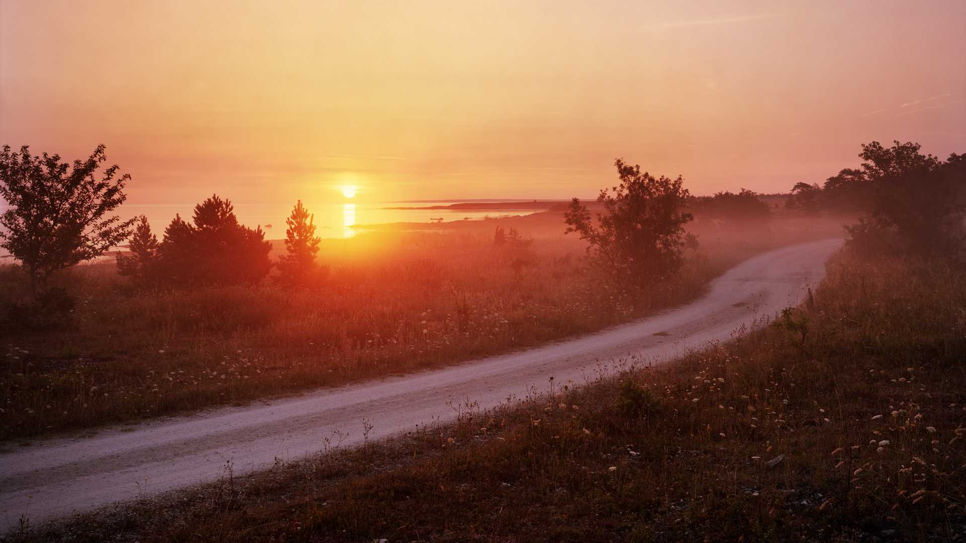 Grusväg i Sverige under solnedgång